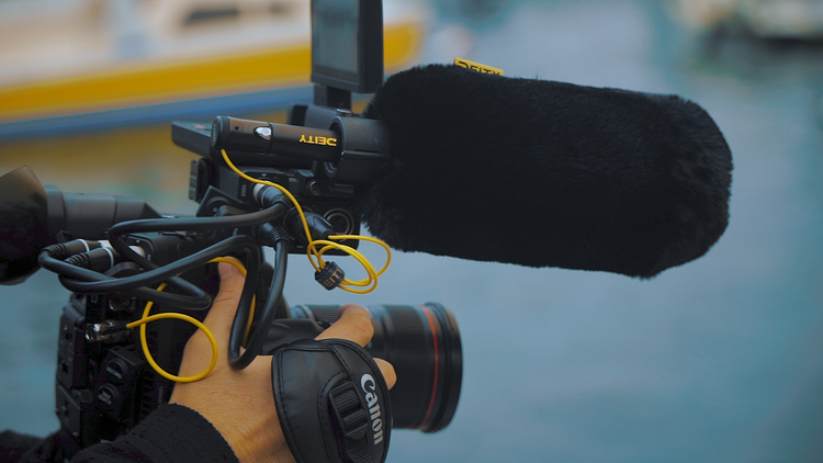 Microphones